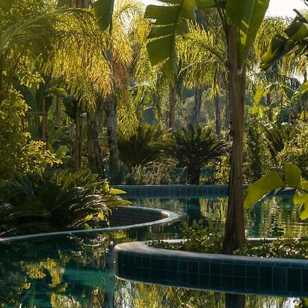 Bayou Hotel