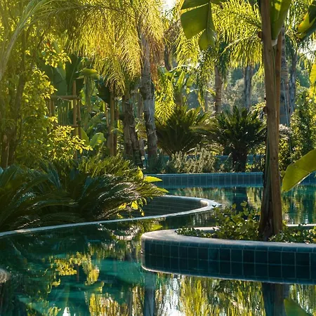 Bayou Hotell
